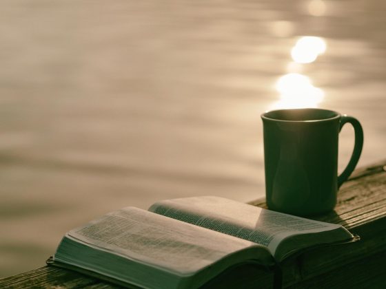 Book | Cup
