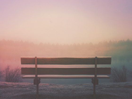 bench-aaron-burden-2bg1jPty490-unsplash