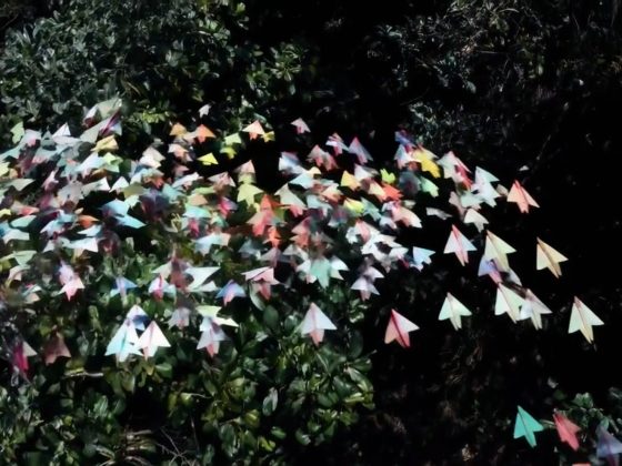 Paper planes